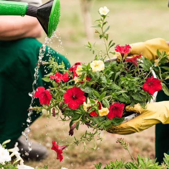 Floriculture