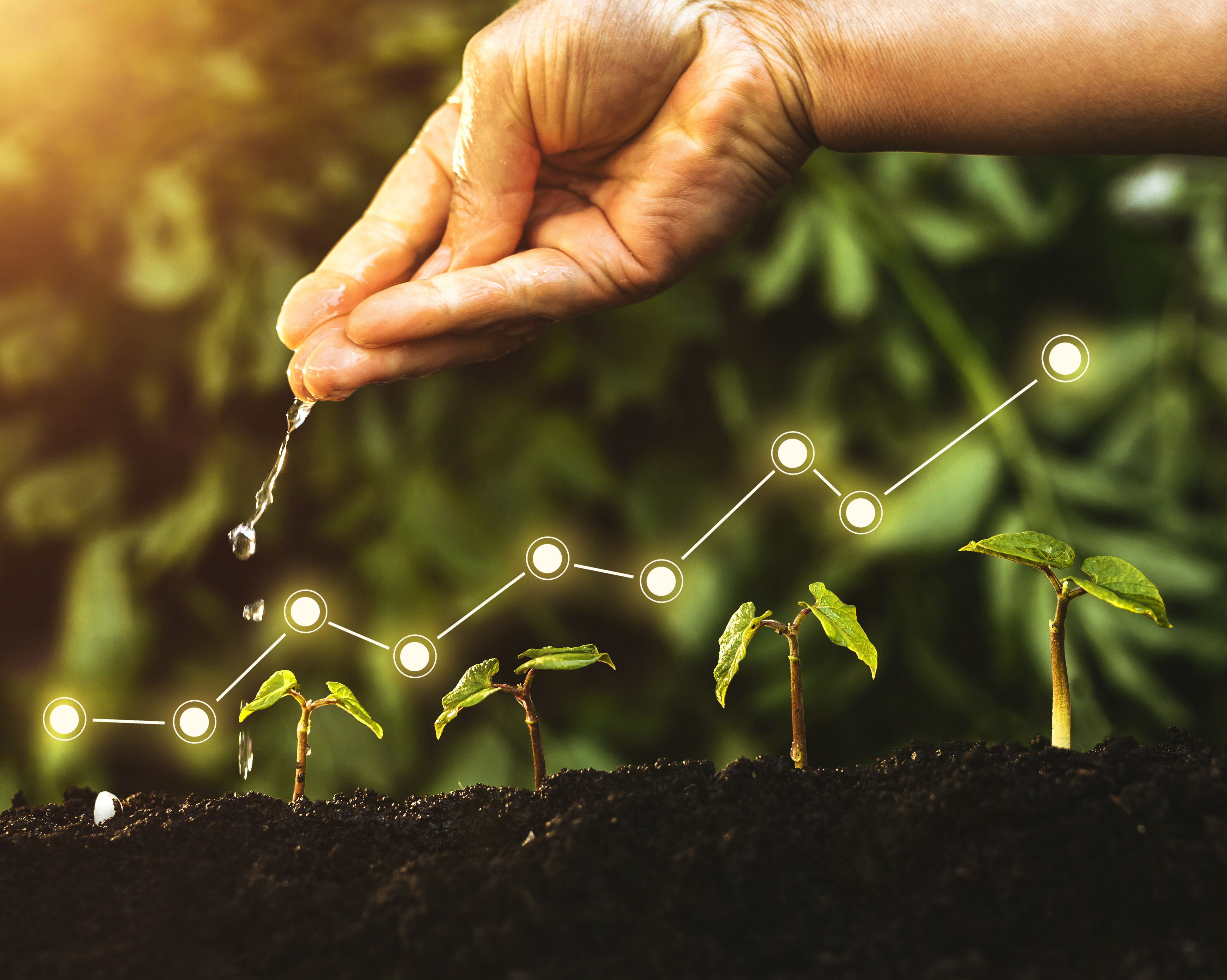 Our Journey — Indiefarm Agro Solution