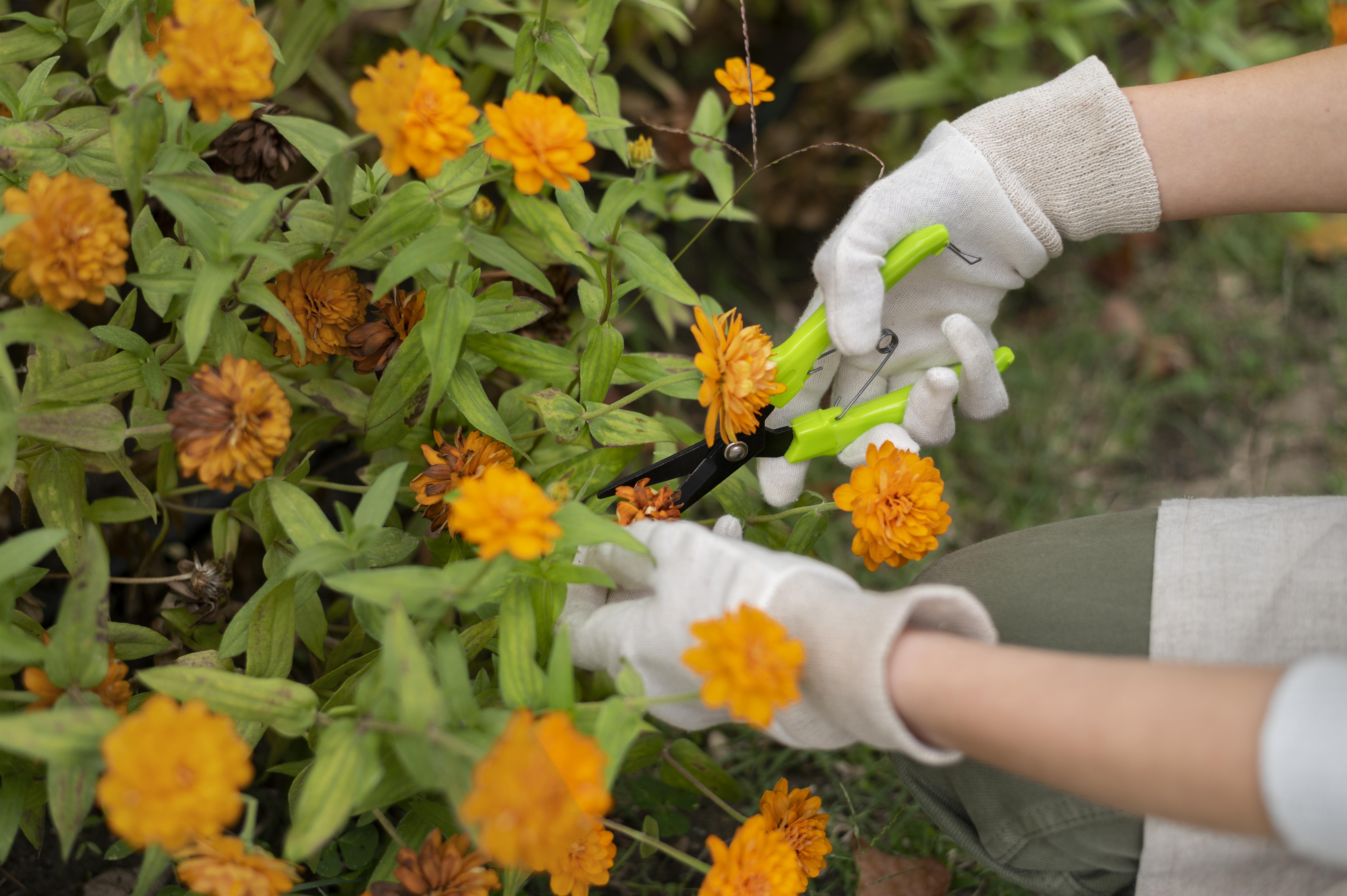 Floriculture