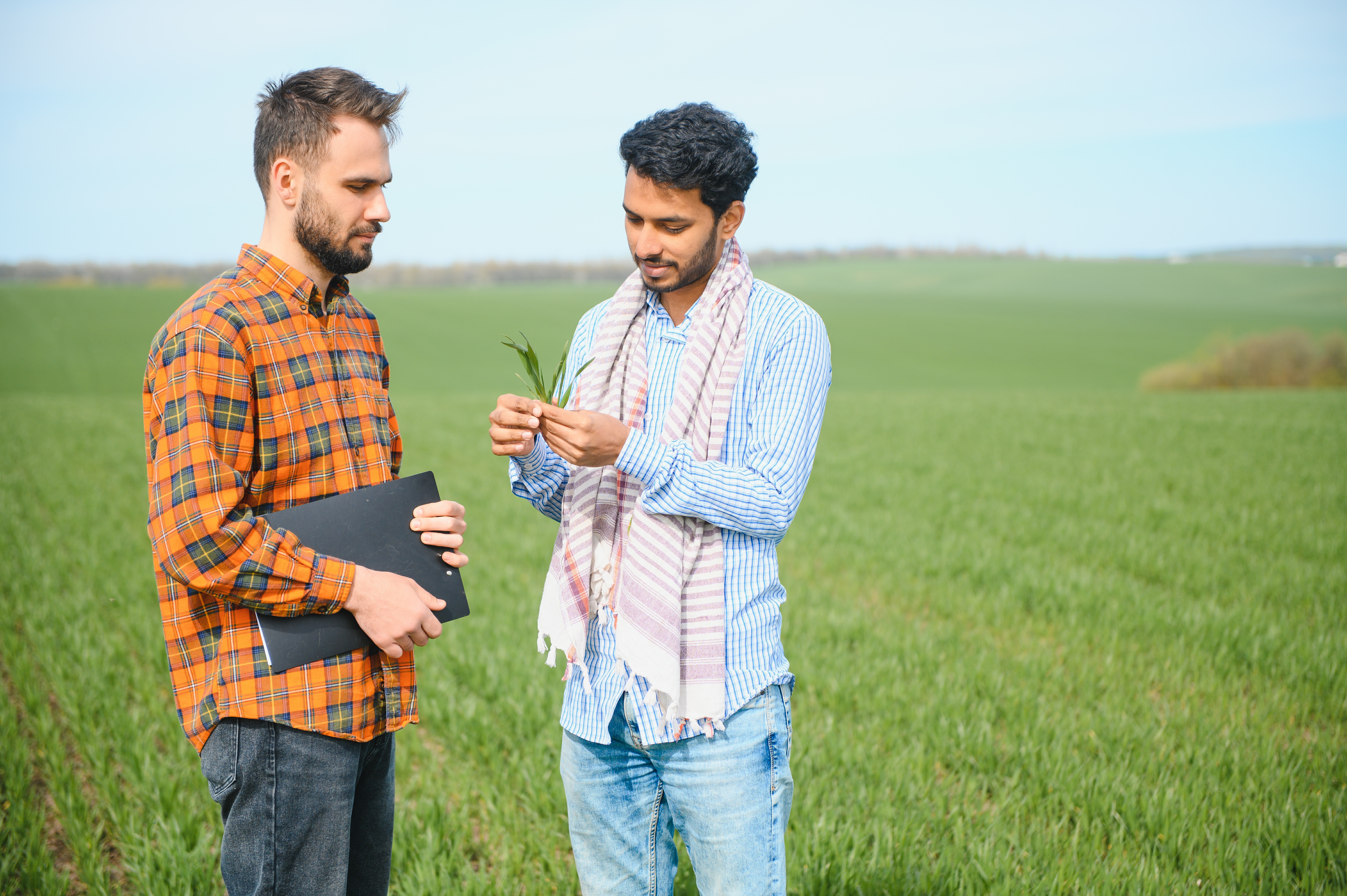Our Story — Indiefarm Agro Solution